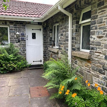 Cwmbach Guest House Neath Zewnętrze zdjęcie