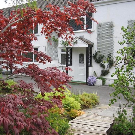Cwmbach Guest House Neath Zewnętrze zdjęcie