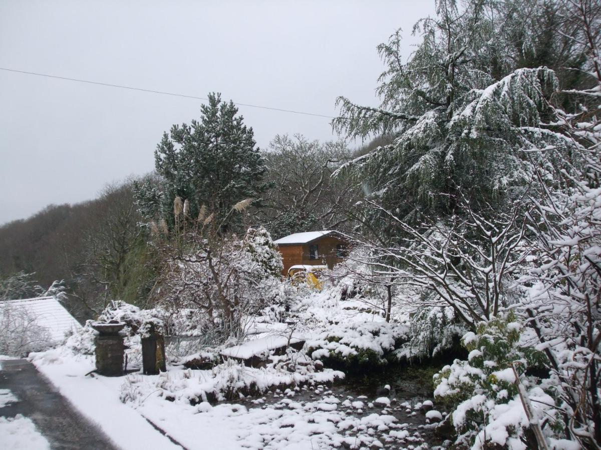 Cwmbach Guest House Neath Zewnętrze zdjęcie
