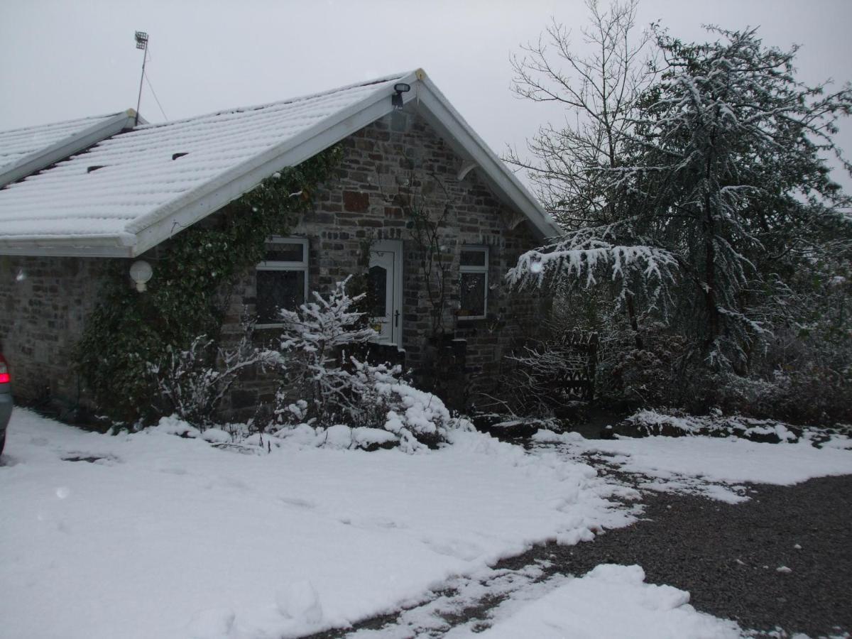 Cwmbach Guest House Neath Zewnętrze zdjęcie