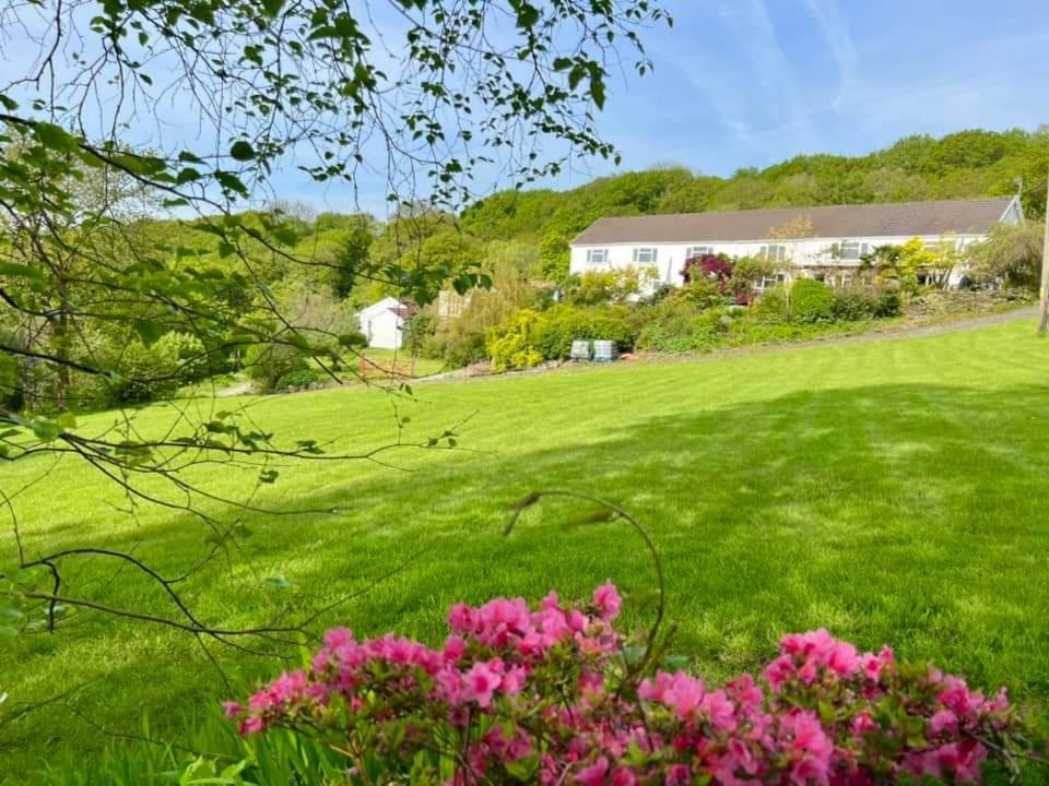 Cwmbach Guest House Neath Pokój zdjęcie