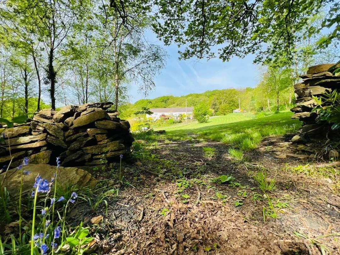 Cwmbach Guest House Neath Pokój zdjęcie