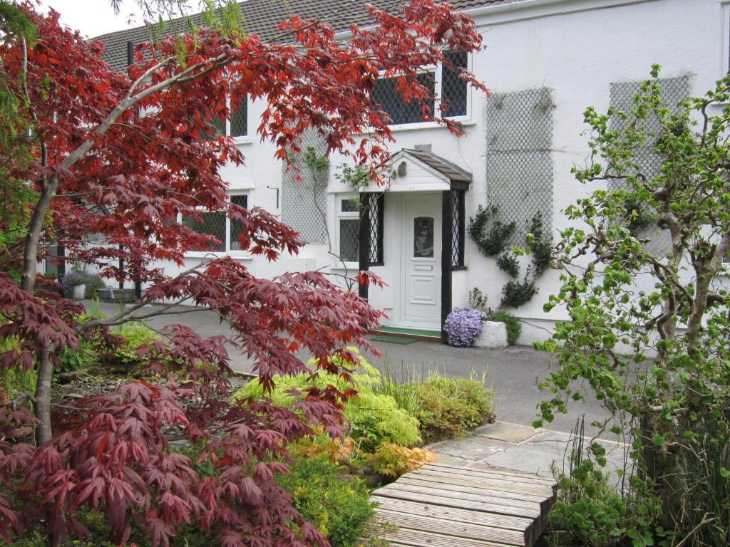 Cwmbach Guest House Neath Zewnętrze zdjęcie